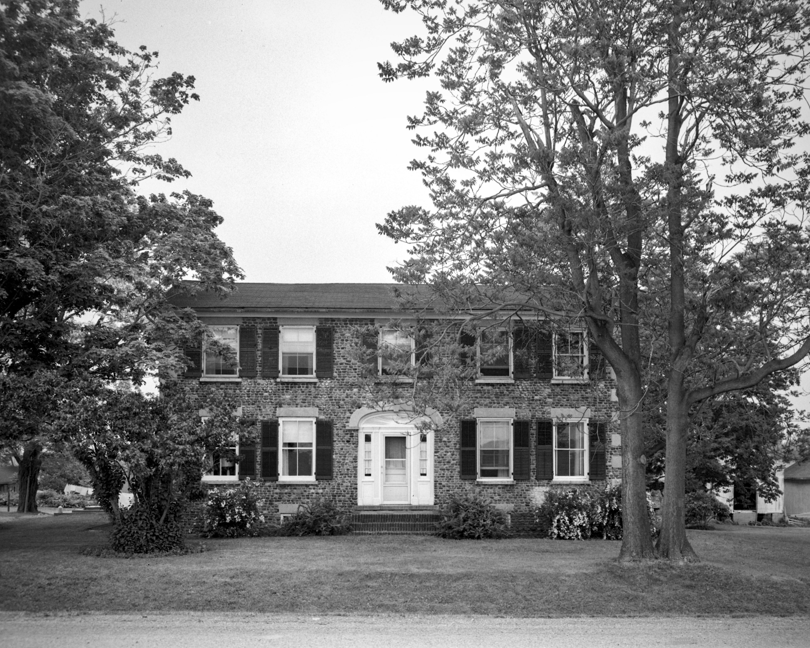 GP Monroe Chili Chi-2_6 N